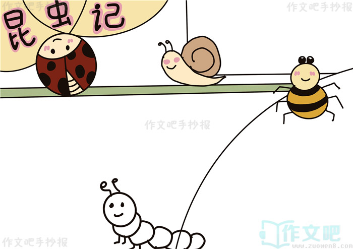 ������ֳ���