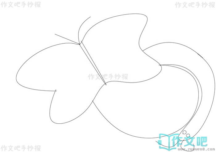���������ֳ���