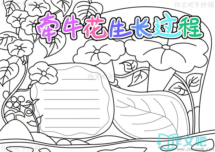 ǣţ�����������ֳ���