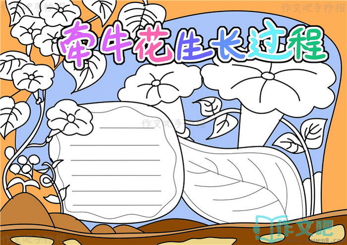 ǣţ�����������ֳ���