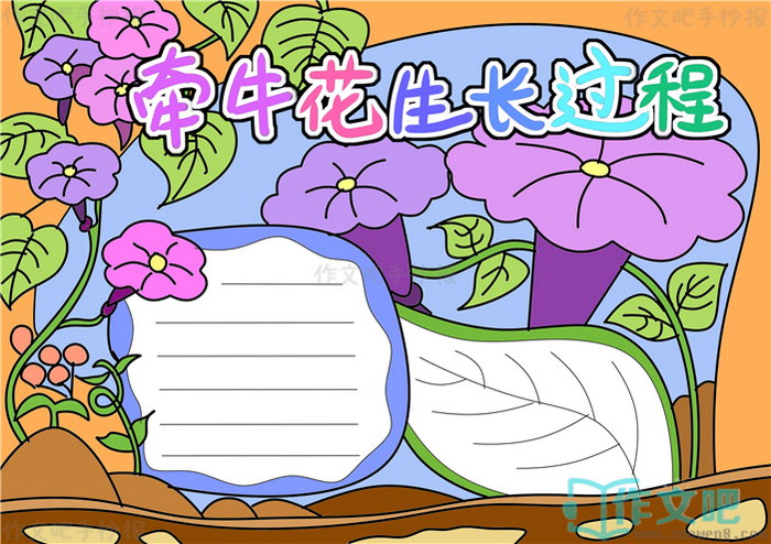 ǣţ�����������ֳ���