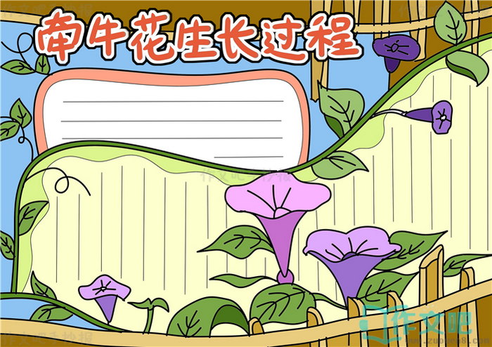 ǣţ�����������ֳ���
